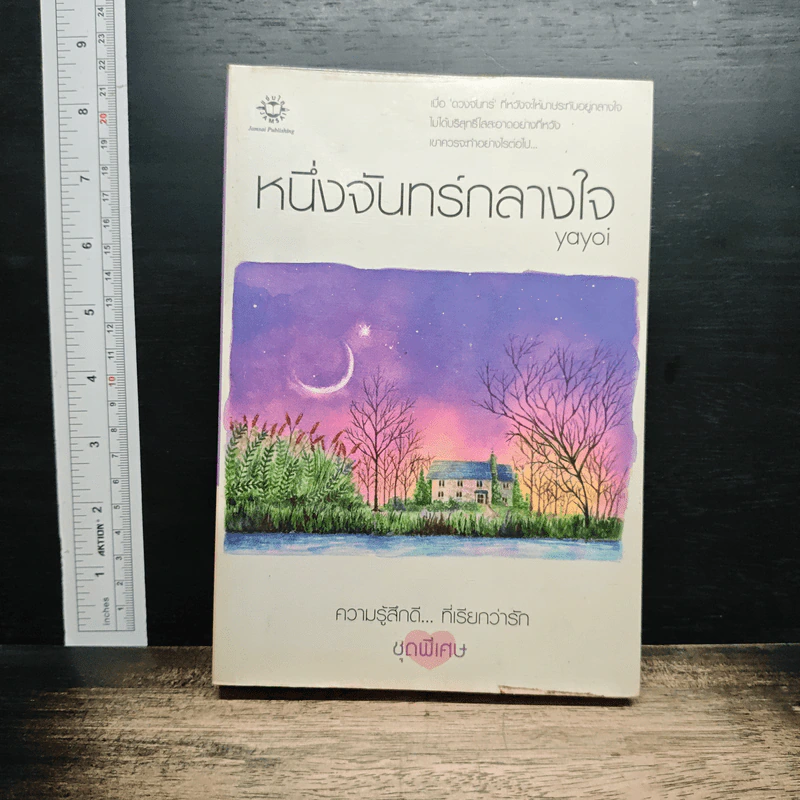 หนึ่งจันทร์กลางใจ รูปที่ 1