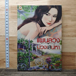 แผนลวงบ่วงเสน่หา - เพลงมีนา รูปที่ 1