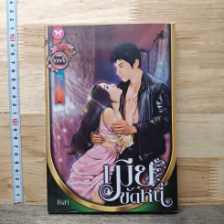 เมียแก้ขัด