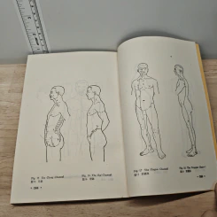 Basic Theory of Traditional Chinese Medicine Vol.1 รูปที่ 8