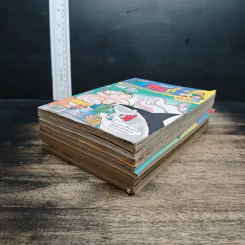 มหาสนุก 10 เล่ม รูปที่ 4
