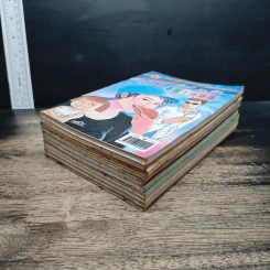 หนูหิ่นอินเตอร์ 10 เล่ม รูปที่ 4