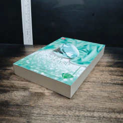 วิวาห์สุดพริ้ง รูปที่ 4