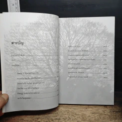 หนังสือ ไปเยือนถิ่นพุทธภูมิ - จินดา ศิริมานนท์ รูปที่ 7