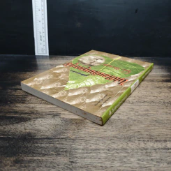 หนังสือ ไปเยือนถิ่นพุทธภูมิ - จินดา ศิริมานนท์ รูปที่ 5