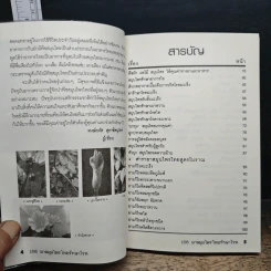 108 ยาสมุนไพรไทยรักษาโรค รูปที่ 7