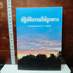 ปฏิบัติธรรมให้ถูกทาง - พระพรหมคุณาภรณ์ (ป.อ.ปยุตโต)