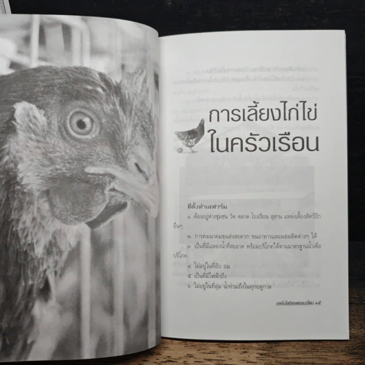 กลยุทธ์เลี้ยงไก่ไข่ให้ได้กำไร - นิด ชากังราว รูปที่ 8