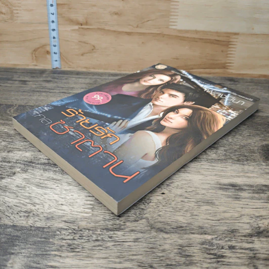 หนังสือ ร้ายรักกลซาตาน - เพลงมีนา รูปที่ 3