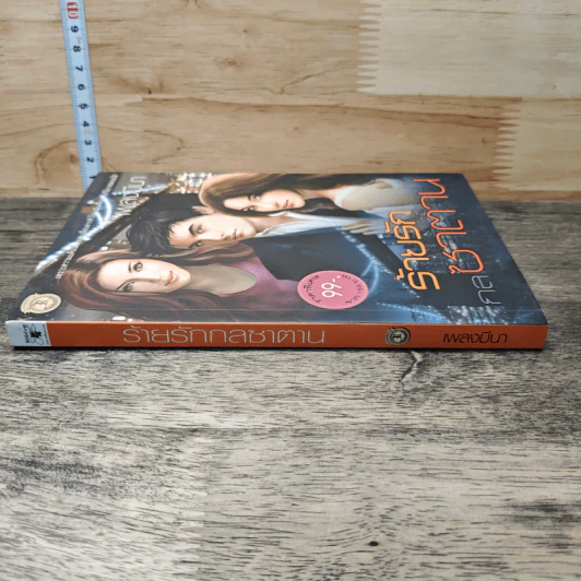 หนังสือ ร้ายรักกลซาตาน - เพลงมีนา รูปที่ 2
