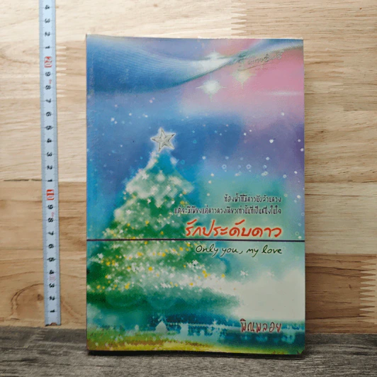รักประดับดาว Only you,my love - พิณพลอย รูปที่ 1