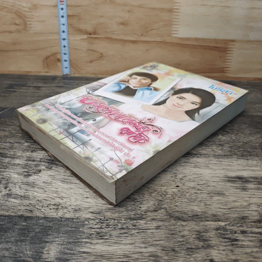 บังเอิญเกิดมาคู่กัน - โมริสา รูปที่ 3