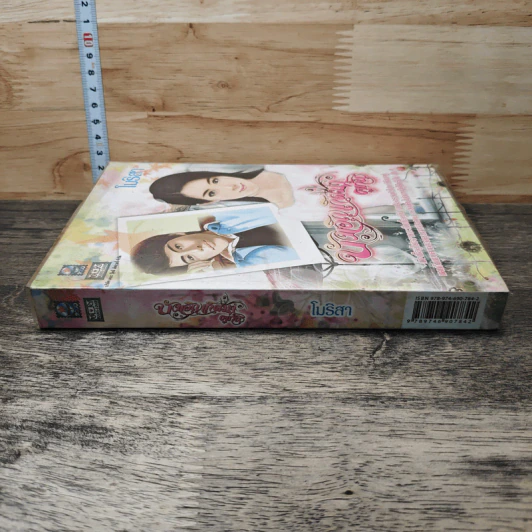 บังเอิญเกิดมาคู่กัน - โมริสา รูปที่ 2