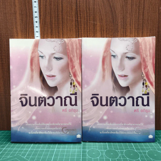 จินตวาณี 2 เล่มจบ - ตรี อภิรุม รูปที่ 1
