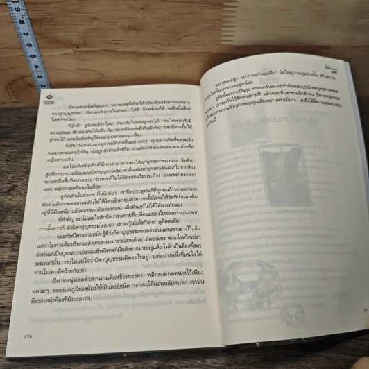 เจ้าสาวของซาตาน รูปที่ 8