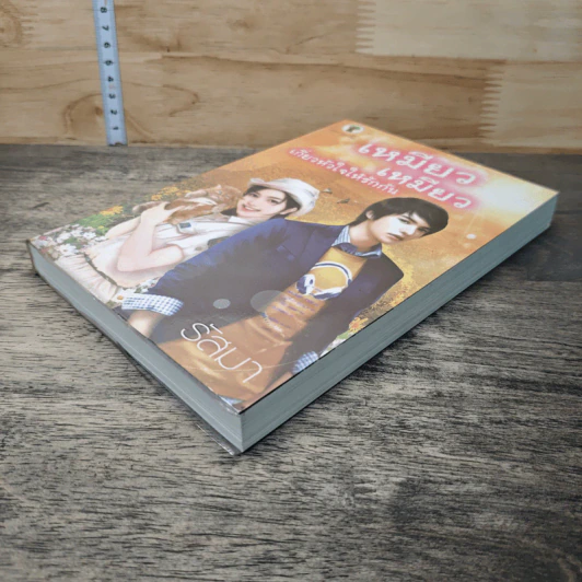 หนังสือ เหมียว เหมียว เกี่ยวหัวใจให้รักกัน รูปที่ 3