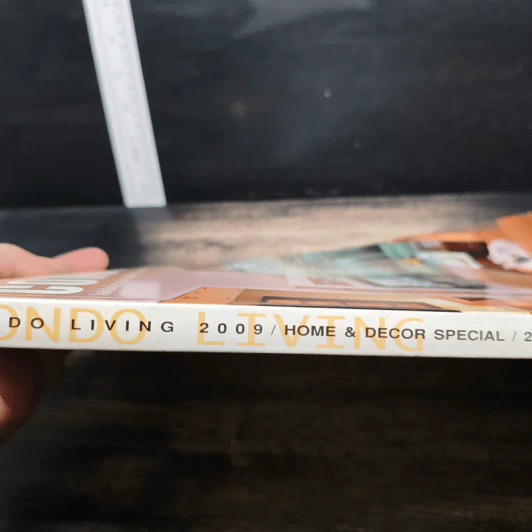 Home & Decor Special: Condo Living 2009 รูปที่ 3