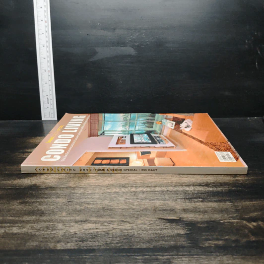 Home & Decor Special: Condo Living 2009 รูปที่ 4