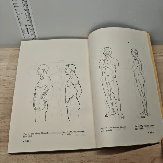 Basic Theory of Traditional Chinese Medicine Vol.1 รูปที่ 8