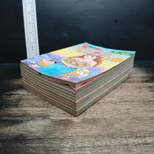 หนังสือ สาวดอกไม้กะนายกล้วยไข่ 10 เล่ม ฉบับที่ 70-79 รูปที่ 4