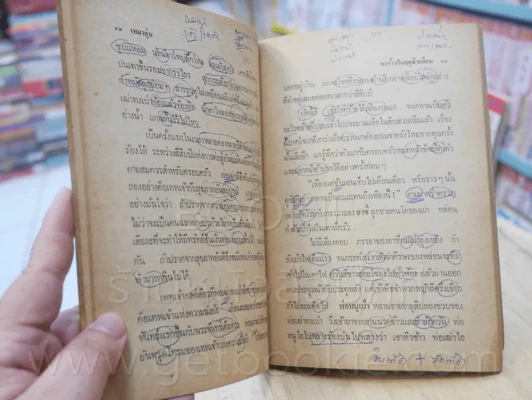 นาข้าวในฤดูชิวเทียน - เหมาตุ๋น จูเลียต แปล (มีรอยปากกาเขียนทุกหน้า) รูปที่ 7