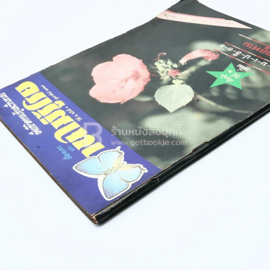 บานไม่รู้โรย ปีที่ 2 ฉบับที่ 1 ก.พ. 2529 รูปที่ 3