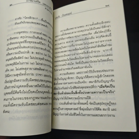 เป้าหมายชีวิตและแรงจูงใจในการทำงานตามความหมายเชิงพุทธ รูปที่ 8
