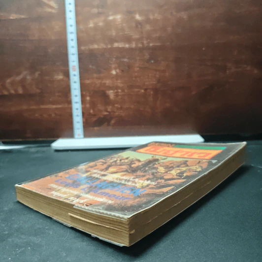 หนังสือ ขุมทองโมฮาเว รูปที่ 4