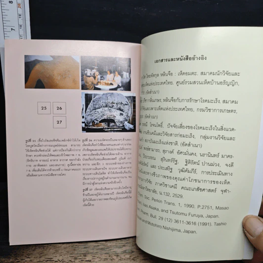 เห็ดหลินจือในการรักษาโรค รูปที่ 8