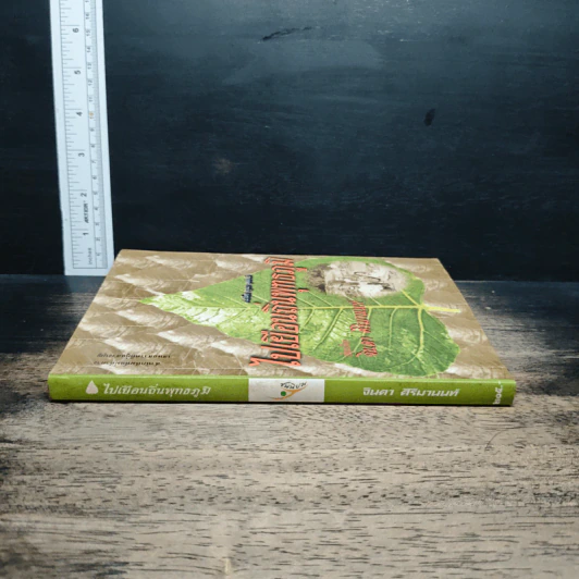 หนังสือ ไปเยือนถิ่นพุทธภูมิ - จินดา ศิริมานนท์ รูปที่ 3
