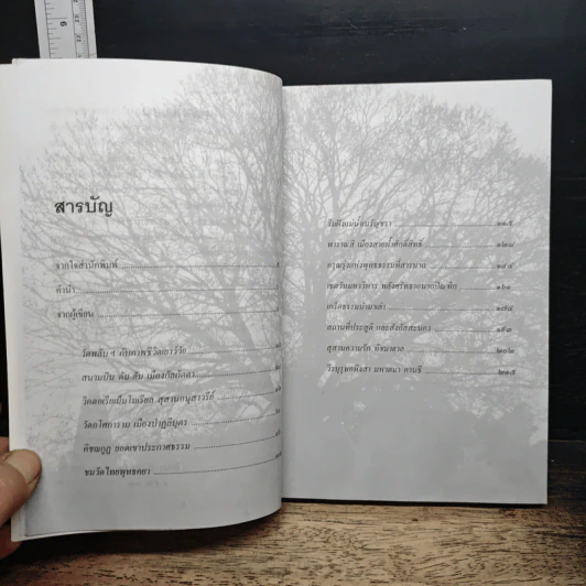 หนังสือ ไปเยือนถิ่นพุทธภูมิ - จินดา ศิริมานนท์ รูปที่ 7