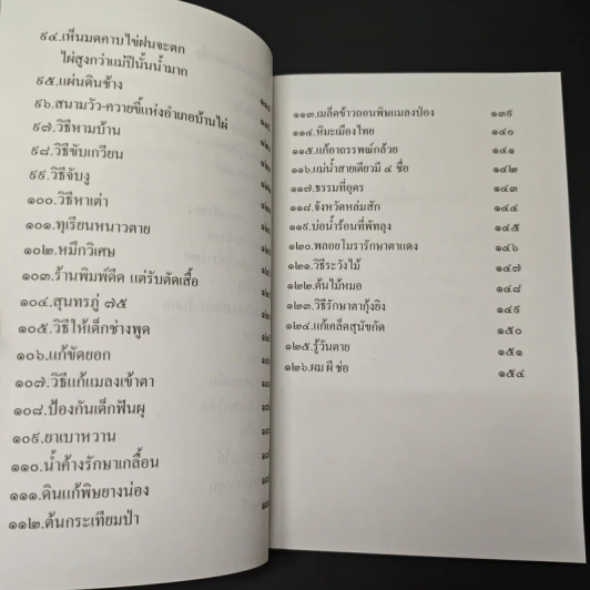 ชุด ขุมทรพย์เมืองไทย ตอน เมืองไทยมหัศจรรย์ รูปที่ 10