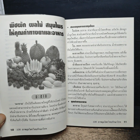 108 ยาสมุนไพรไทยรักษาโรค รูปที่ 10