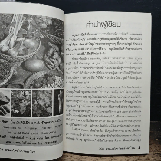108 ยาสมุนไพรไทยรักษาโรค รูปที่ 6
