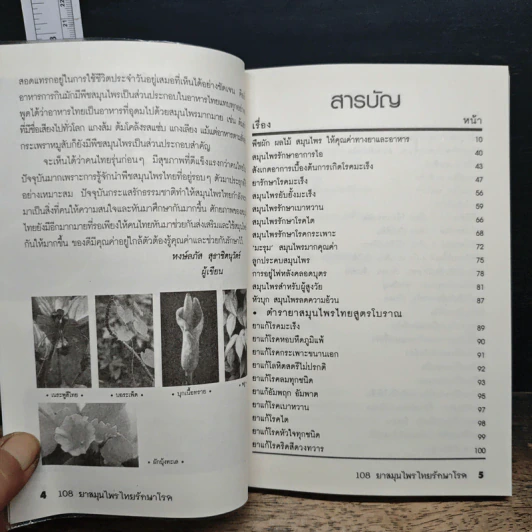 108 ยาสมุนไพรไทยรักษาโรค รูปที่ 7