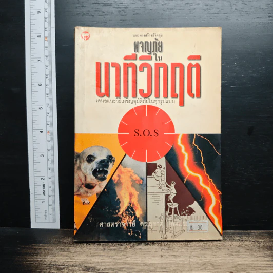 ผจญภัยในนาทีวิกฤติ - ศาสตราจารย์ ดร.สุชาติ โสมประยูร รูปที่ 1