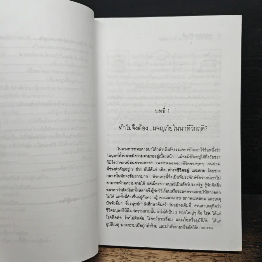 ผจญภัยในนาทีวิกฤติ - ศาสตราจารย์ ดร.สุชาติ โสมประยูร รูปที่ 8