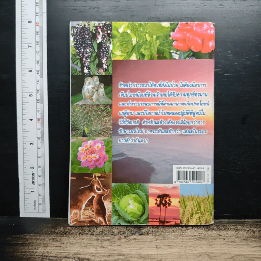 หนังสือ กิน-อยู่ เพื่อชีวิตและสิ่งแวดล้อมที่ดีกว่า รูปที่ 2