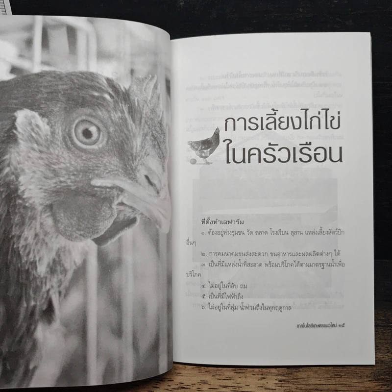 กลยุทธ์เลี้ยงไก่ไข่ให้ได้กำไร - นิด ชากังราว รูปที่ 8