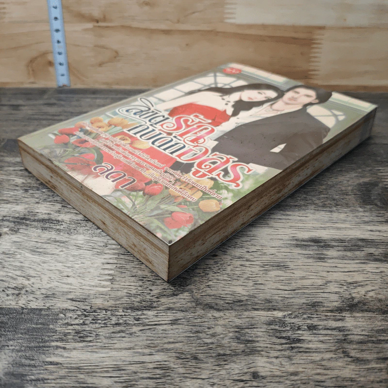 หนังสือ ลิขิตรักกับดักอสูร รูปที่ 3