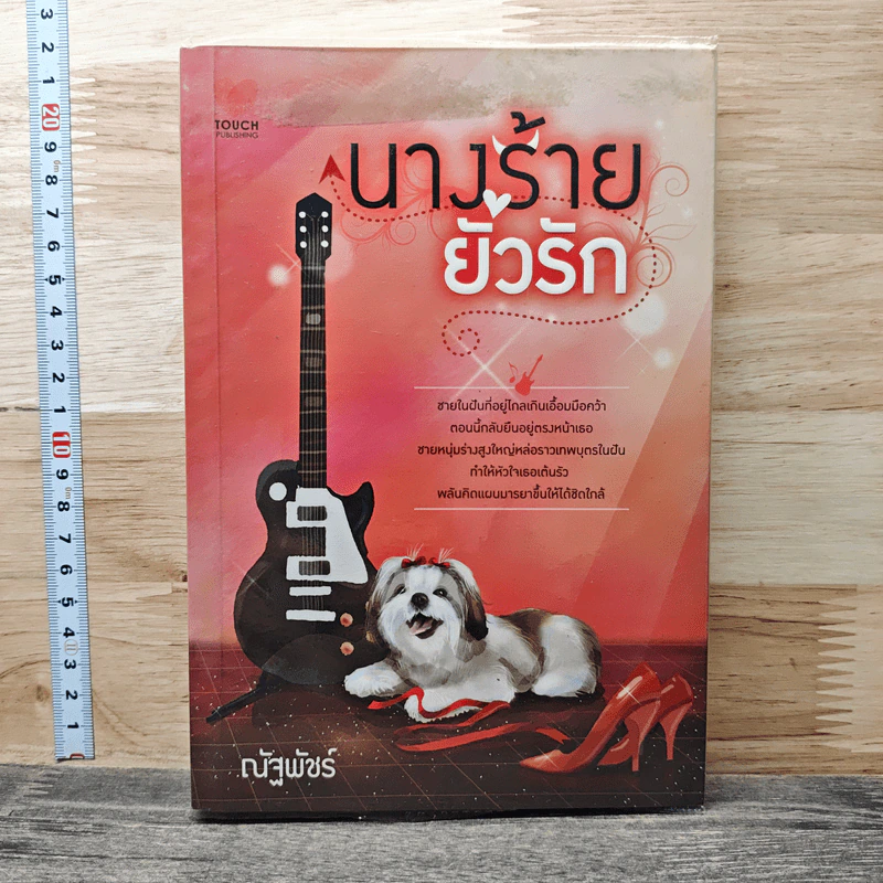 นางร้ายยั่วรัก - ณัฐพัชร์ รูปที่ 1