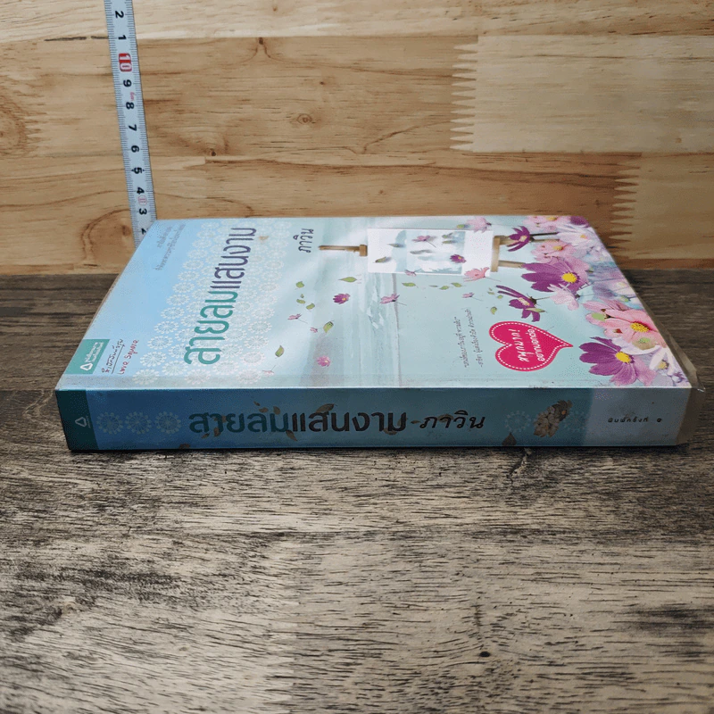 สายลมแสนงาม - ภาวิน รูปที่ 2