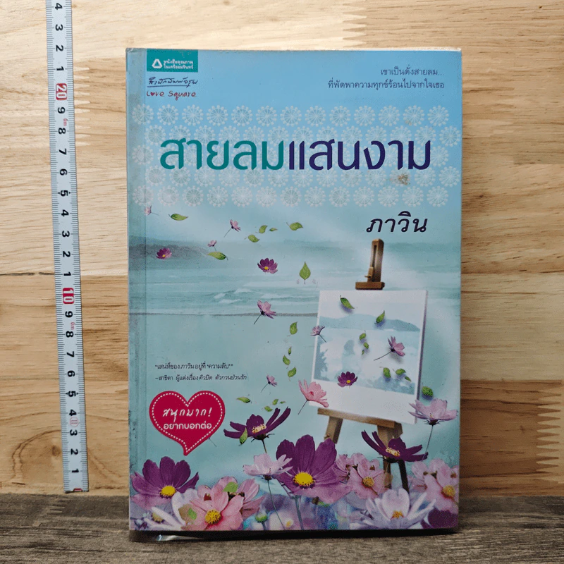 สายลมแสนงาม - ภาวิน รูปที่ 1