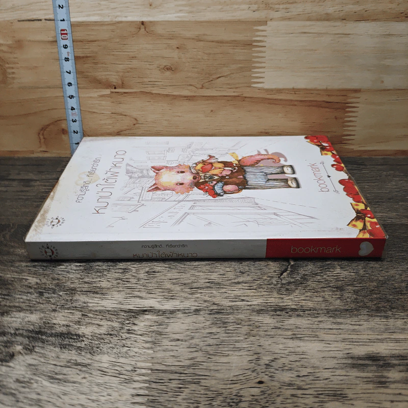 หมาป่าใต้ฟ้าหนาว - bookmark รูปที่ 2