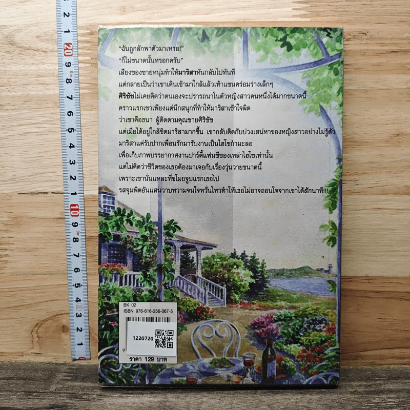 แผนลวงบ่วงเสน่หา - เพลงมีนา รูปที่ 5