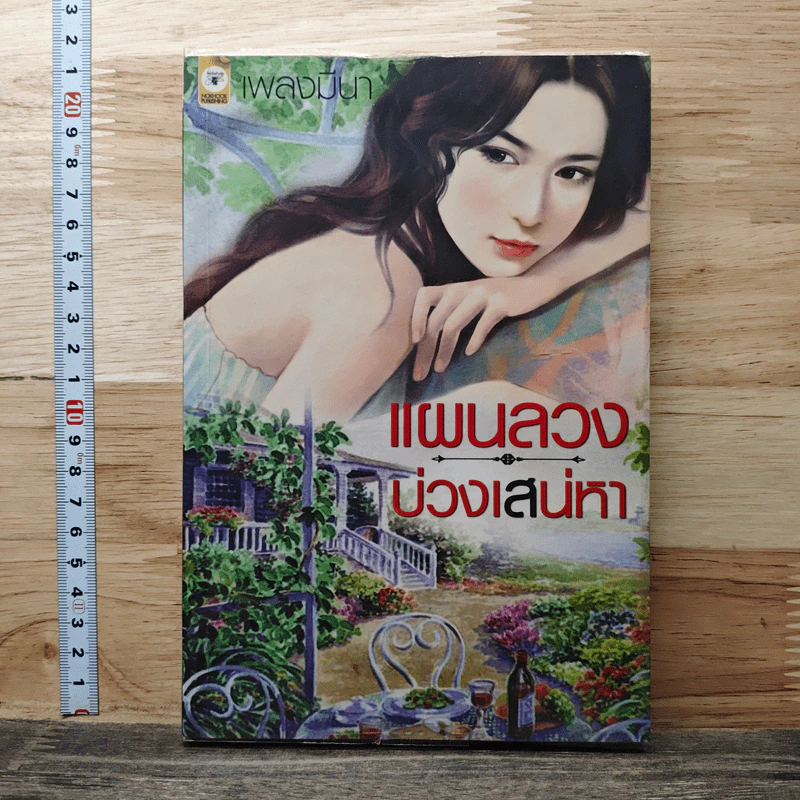 แผนลวงบ่วงเสน่หา - เพลงมีนา รูปที่ 1