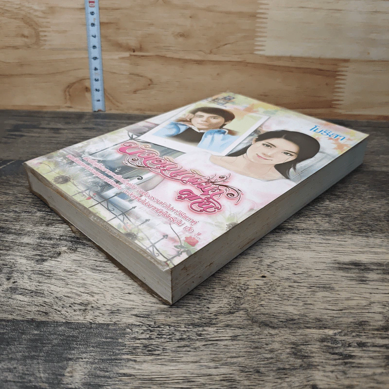 บังเอิญเกิดมาคู่กัน - โมริสา รูปที่ 3