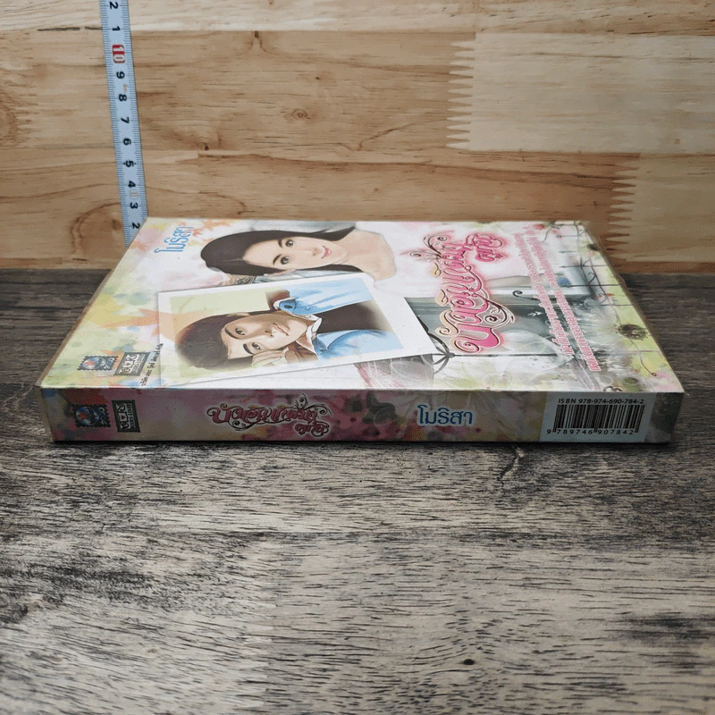 บังเอิญเกิดมาคู่กัน - โมริสา รูปที่ 2