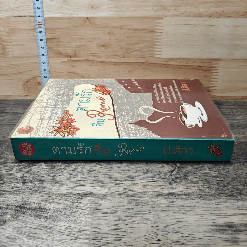 ตามรักคืนโรม - ป.ศิลา รูปที่ 2