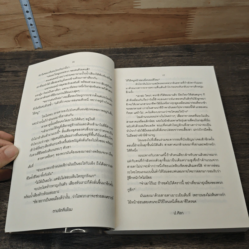 ตามรักคืนโรม - ป.ศิลา รูปที่ 7